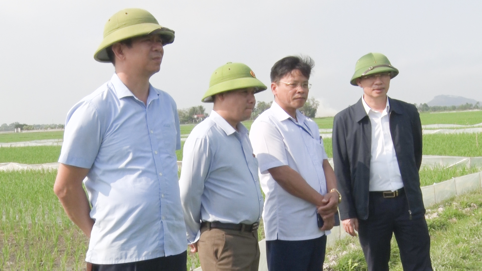 Đồng chí Phạm Văn Nhiệm, Phó Chủ tịch UBND thị xã kiểm tra tình hình sản xuất vụ chiêm xuân tại xã Anh Sơn