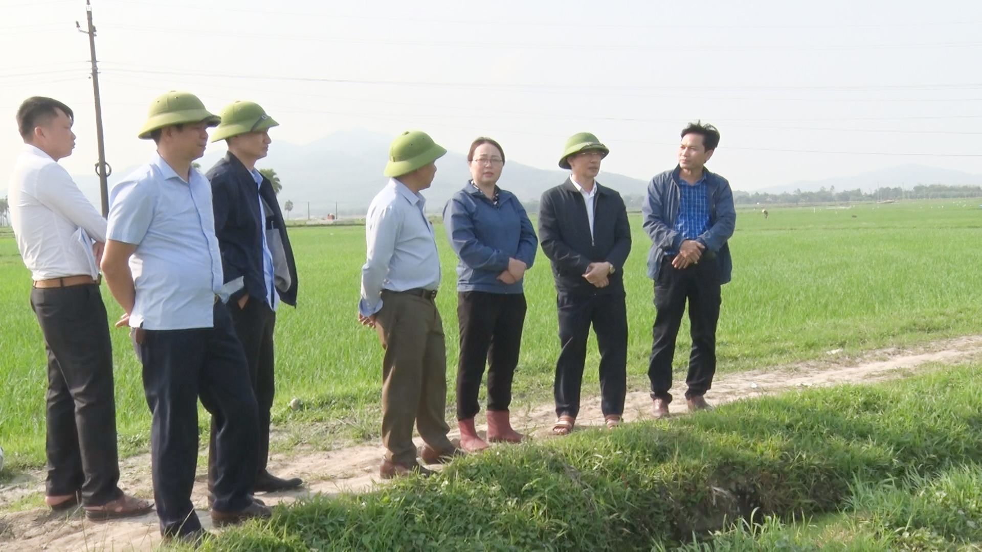 Đồng chí Phạm Văn Nhiệm, Phó Chủ tịch UBND thị xã kiểm tra tình hình sản xuất vụ chiêm xuân tại xã Các Sơn