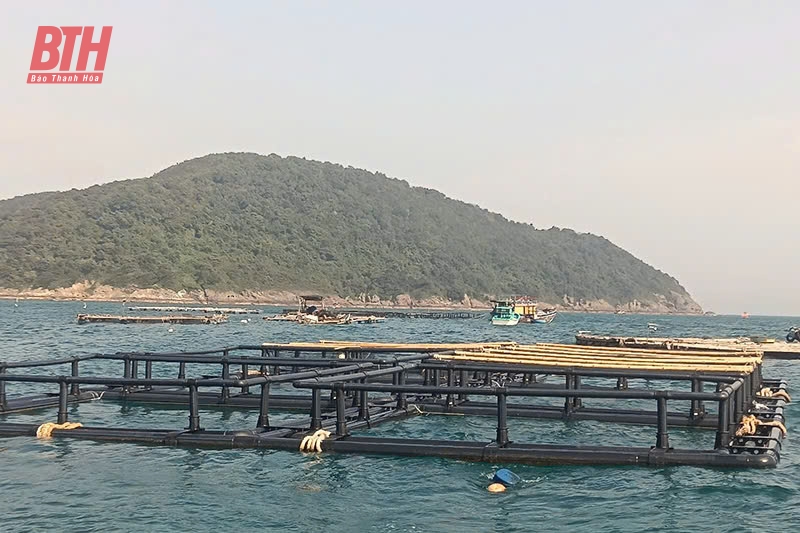 Ô, lồng nuôi trồng thủy sản ở khu vực gần đảo Hòn Mê.