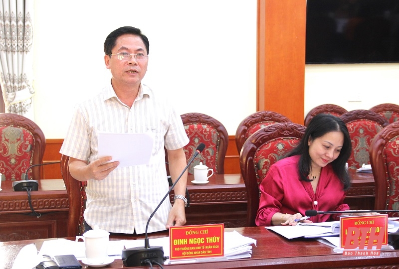 Lãnh đạo Ban Kinh tế - Ngân sách HĐND tỉnh phát biểu tại buổi giám sát.