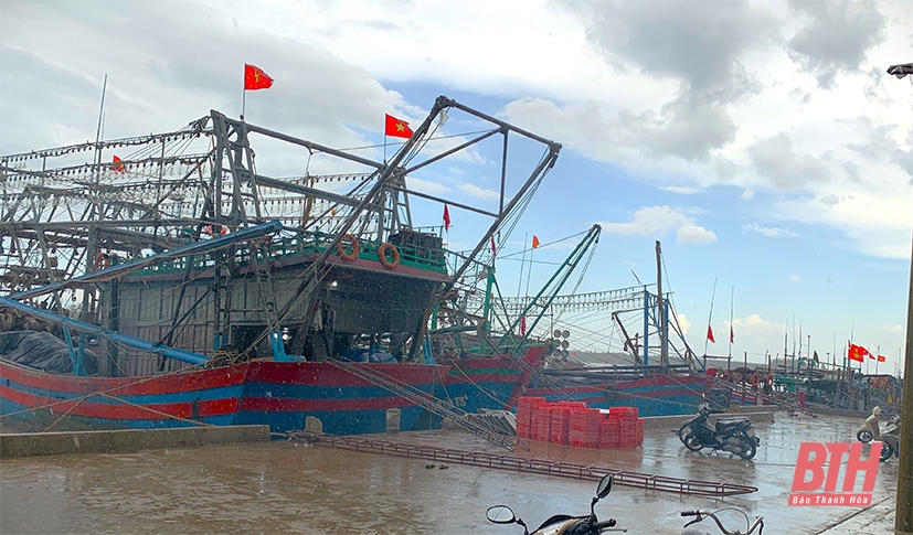 Tàu, thuyền neo đậu tại Cảng cá Lạch Bạng.