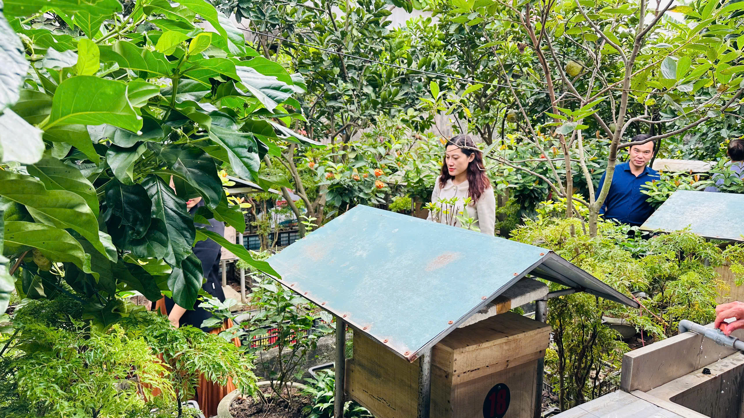 Mô hình nhà sạch vườn mẫu thôn Xuân Sơn, xã Thanh Sơn